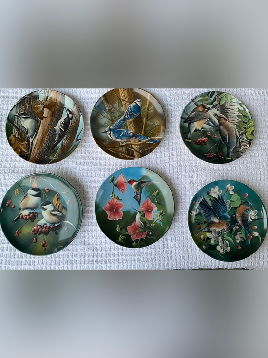 Other - 6pc Birds of Your Garden plates